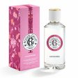 Unisex Perfume Roger & Gallet Gingembre EDP 100 ml For Sale