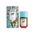 Women s Perfume Loewe PAULA S IBIZA EDT 50 ml For Cheap