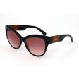 Ladies  Sunglasses Longchamp Ø 55 mm (Ø 55 mm) For Cheap