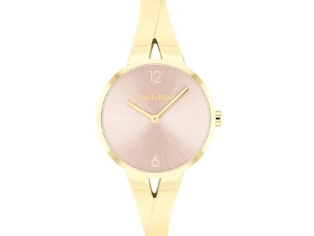 Ladies  Watch Calvin Klein 25100027 Online